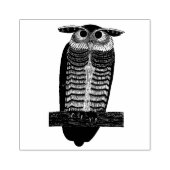Owl Rubberstempel (Afrduk)