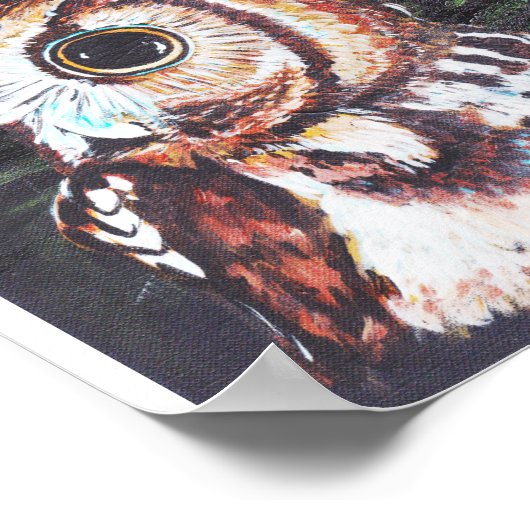 Owl 's nachts poster (Hoek)