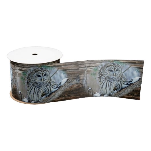 Owl Satijnen Lint (Spoel)