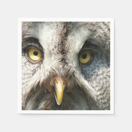 Owl Servet (Voorkant)