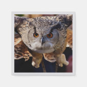 Owl Servet (Voorkant)