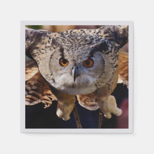 Owl Servet (Voorkant)