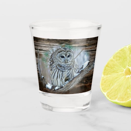 Owl Shot Glas (Voorkant)