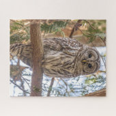 Owl Sitting in de Natuur van de Boom Puzzle Legpuzzel (Horizontaal)