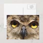 Owl Sluiten Briefkaart (Voorkant / Achterkant)