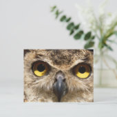 Owl Sluiten Briefkaart (Staand voorkant)
