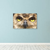 Owl Sluiten Canvas Afdruk (Insitu (Houten vloer))