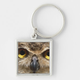 Owl Sluiten Sleutelhanger