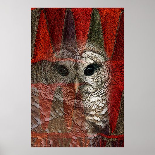 Owl Spirit door Gregory Gallo Poster (Voorkant)