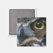 Owl Square Magnet (Voorkant / Achterkant)