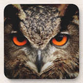 OWL-stallen Bier Onderzetter (Voorkant)