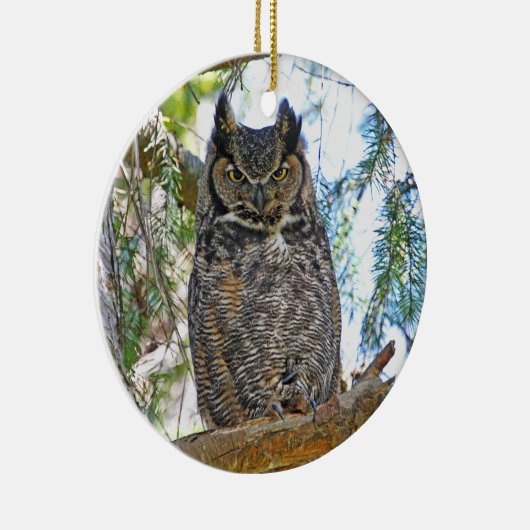 Owl Stare Keramisch Ornament (Rechts)