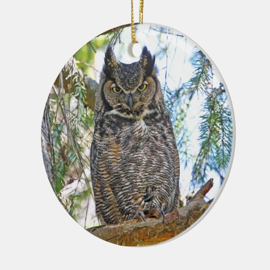 Owl Stare Keramisch Ornament (Links)