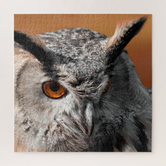 Owl Stare Legpuzzel (Verticaal)
