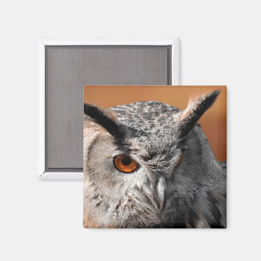 Owl Stare Magneet (Voorkant / Achterkant)