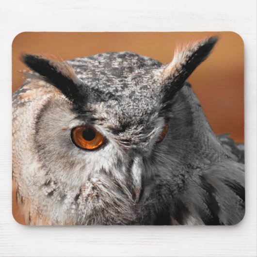 Owl Stare Muismat (Voorkant)