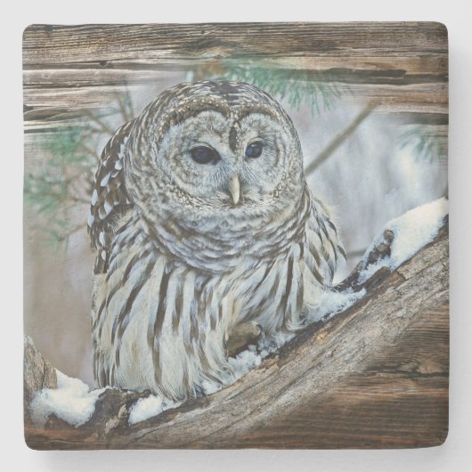 Owl Stenen Onderzetter (Voorkant)