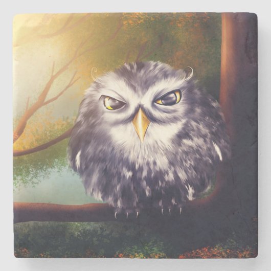 Owl Stenen Onderzetter (Voorkant)