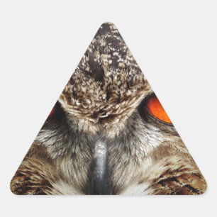 Owl Sticker
