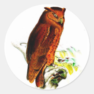 Owl Stickers