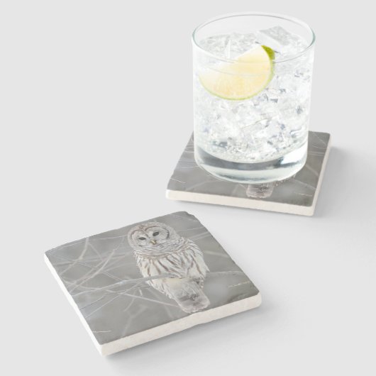 Owl Stone Onderzetter (Zijkant)