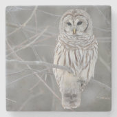 Owl Stone Onderzetter (Voorkant)