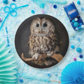 Owl Symbol van wijsheid Papieren Bordje (Feest)