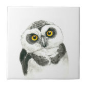 Owl Tegeltje (Voorkant)