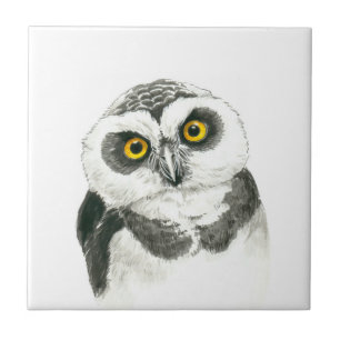 Owl Tegeltje
