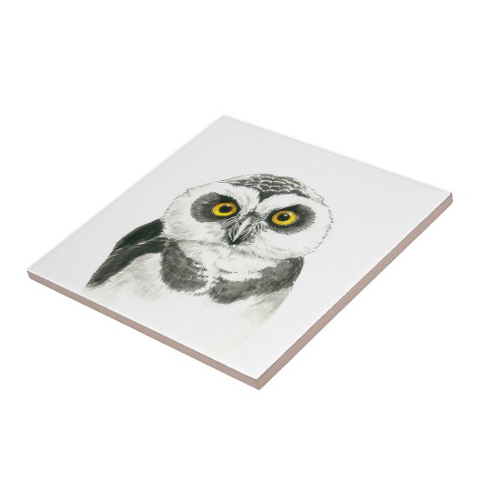 Owl Tegeltje (Zijkant)