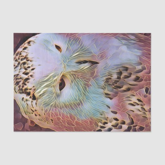 OWL TISSUEPAPIER (Voorkant)