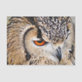 OWL TISSUEPAPIER (Voorkant)