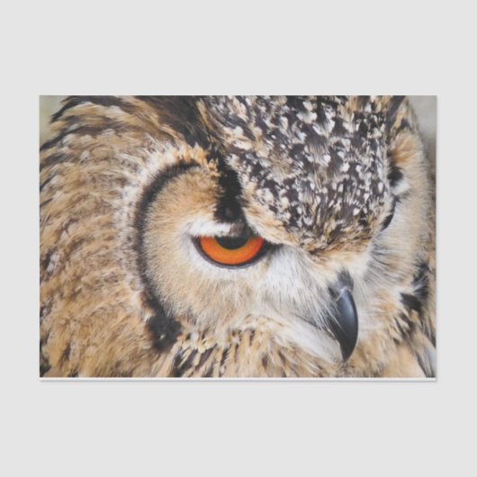 OWL TISSUEPAPIER (Voorkant)