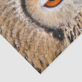 OWL TISSUEPAPIER (Detail)