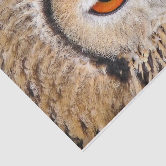 OWL TISSUEPAPIER (Detail)