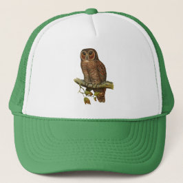 OWL TRUCKER PET
