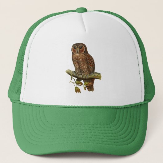 OWL TRUCKER PET (Voorkant)