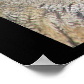 Owl Uil Poster (Hoek)