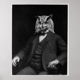 Owl-uitvinder Poster