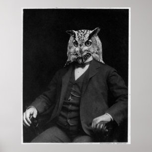 Owl-uitvinder Poster