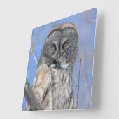 Owl Vierkante Klok (Hoek)