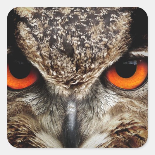 Owl Vierkante Sticker (Voorkant)