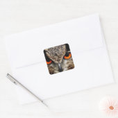 Owl Vierkante Sticker (Envelop)