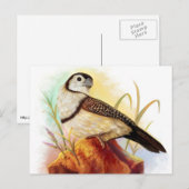 Owl vinkt realistisch schilderen briefkaart (Voorkant / Achterkant)