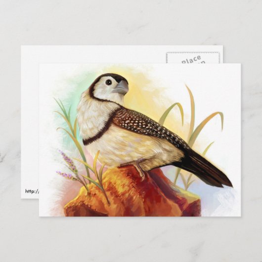 Owl vinkt realistisch schilderen briefkaart (Voorkant / Achterkant)