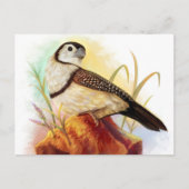 Owl vinkt realistisch schilderen briefkaart (Voorkant)