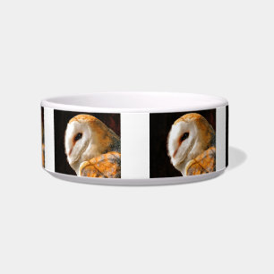 OWL VOERBAKJE
