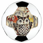 Owl Voetbal (Voorkant)