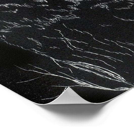 Owl vogelboom Tekening zwarte witte kunst Poster (Hoek)