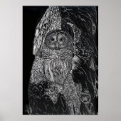 Owl vogelboom Tekening zwarte witte kunst Poster (Voorkant)